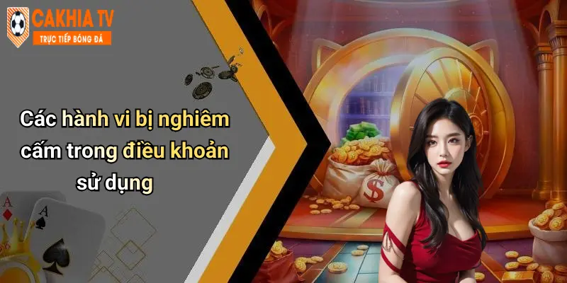 Các hành vi bị nghiêm cấm trong điều khoản sử dụng