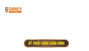 Kỹ thuật đánh chặn bóng